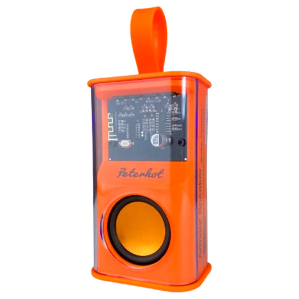 Transperent Bluetooth Speaker Fiber Glass (Type C Port)